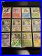 Pokemon Shiny Collection NM/Mint 99% Complete Hidden/Shining Fates Baby Sets